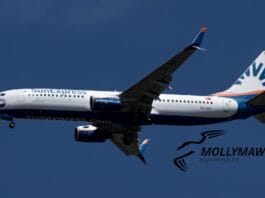 SunExpress Mollymawk Sınavı, Time Sharing, Working Memory, Spatial Orientation, Mollymawk Spider