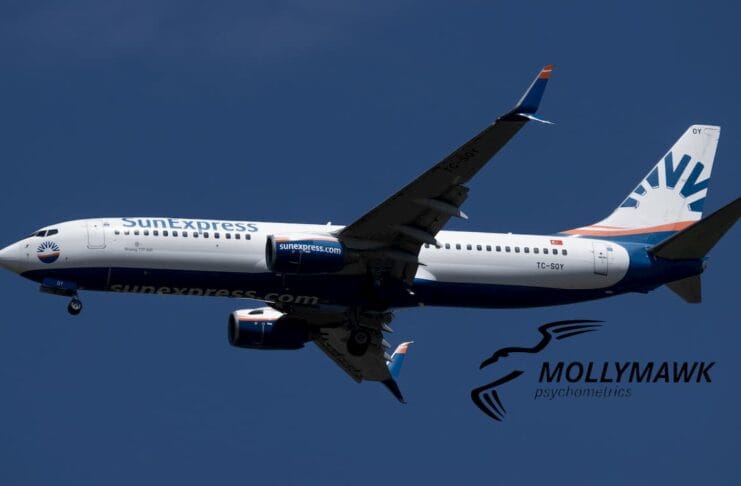 SunExpress Mollymawk Sınavı, Time Sharing, Working Memory, Spatial Orientation, Mollymawk Spider