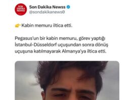 pegasus kabin memuru iltica etti, pegasus kabin memuru almanyaya iltica etti