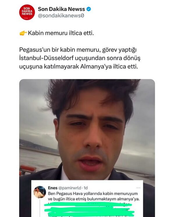 pegasus kabin memuru iltica etti, pegasus kabin memuru almanyaya iltica etti
