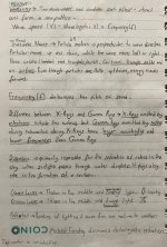IMG_4344.jpeg