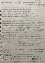 IMG_4347.jpeg
